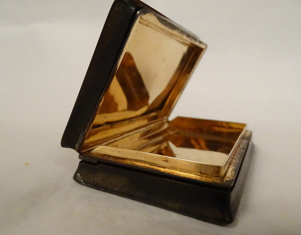 Gold Leaf Lined Horn Box Count Paul De La Moussaye Brittany 19th Century