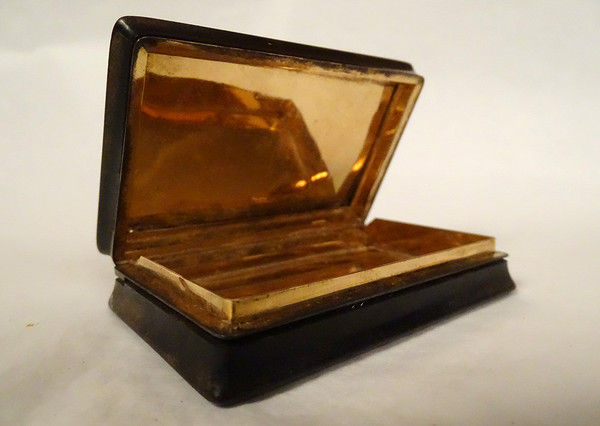 Gold Leaf Lined Horn Box Count Paul De La Moussaye Brittany 19th Century