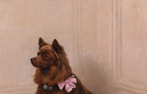 Georges Frédéric Rötig 1873-1961 Cane spitz con nastro rosa, dipinto, 1906