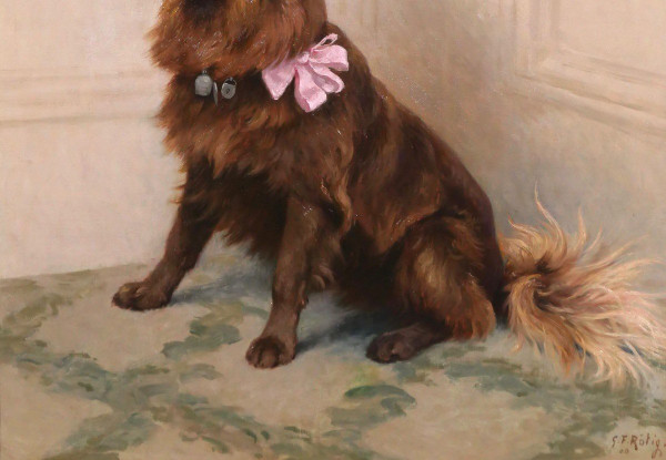 Georges Frédéric Rötig 1873-1961 Cane spitz con nastro rosa, dipinto, 1906