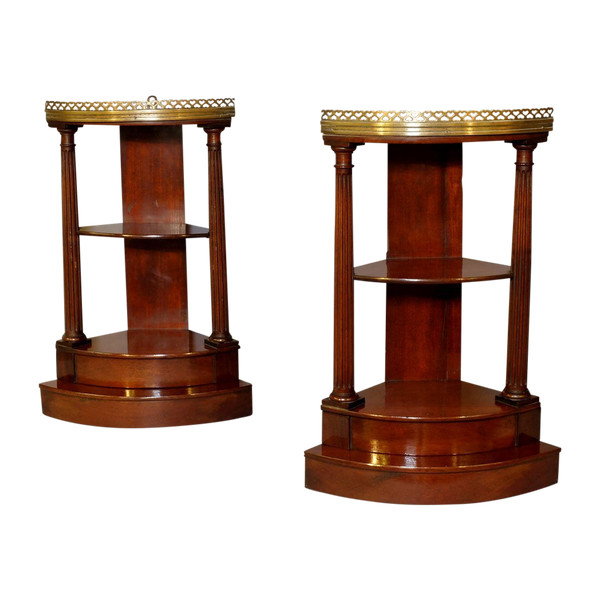 Pair of neo-classical corner shelves