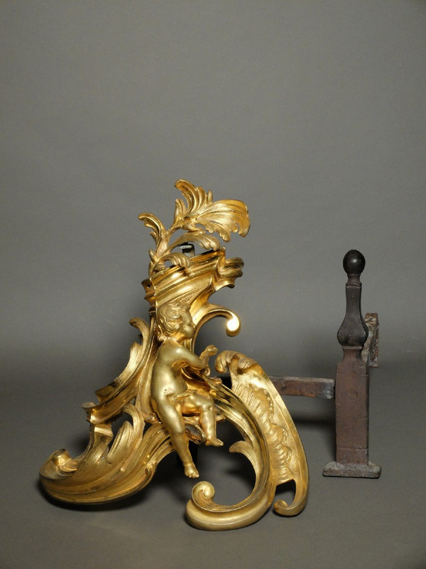 Pair of allegorical andirons from the Louis XV period