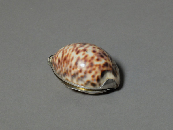 Silver-mounted shell snuffbox, 19th century.