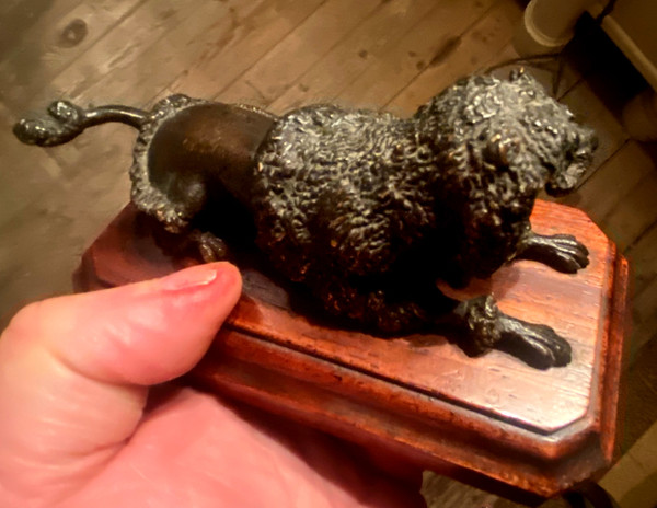 Royal poodle in patinated bronze on a precious wood base with lioness hairstyle Sulfide eyes 19th century