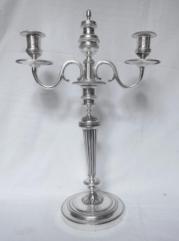 pair of Candelabra, Model of the Château De Fontainebleau Silver Bronze th. Empire Restoration