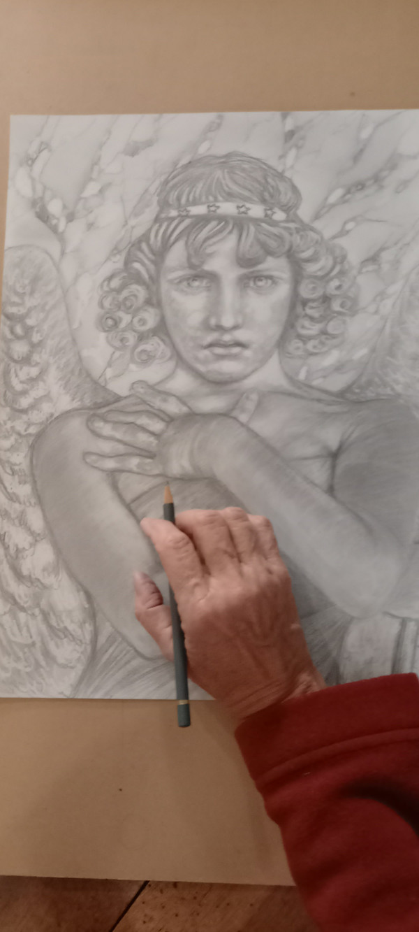 Angel of Monteverde/drawing