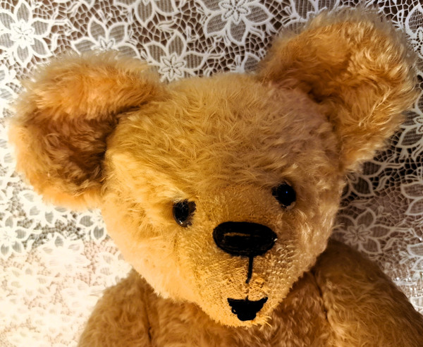 Teddybär mit Glasaugen 1920er oder 1930er Jahre Höhe 57 cm