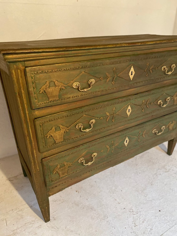 Liège Commode 19th Century Louis XVI Decor With Birds