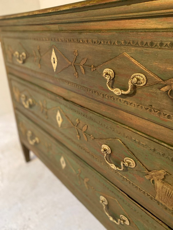 Liège Commode 19th Century Louis XVI Decor With Birds