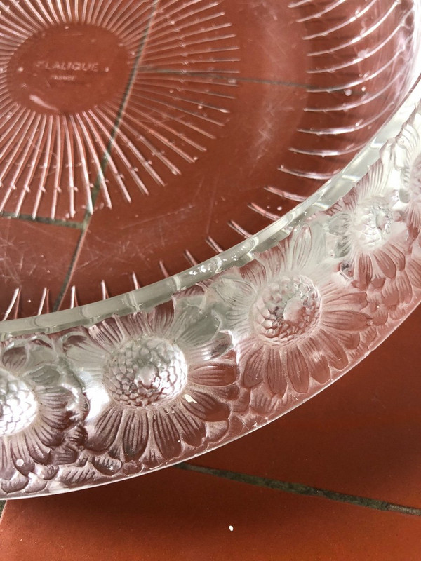 Coppa René Lalique “Daisy” in cristallo modellato