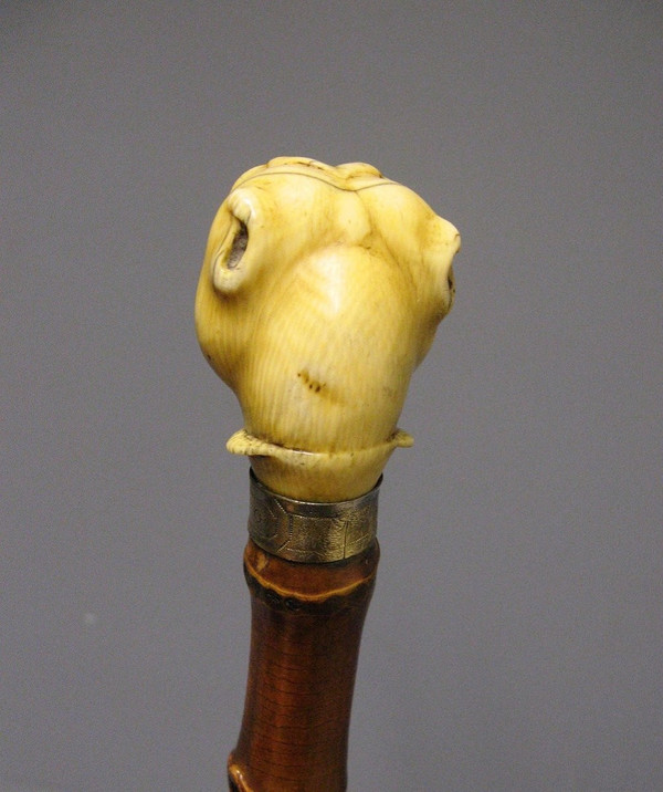 Dog head cane.