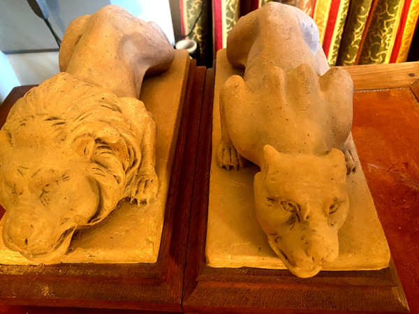 Lion et  lionne en terre meuble d'Atelier , projet de gargouilles  par Geoffroy ,  un suiveur de Viollet-le -Duc , d'époque 19ème