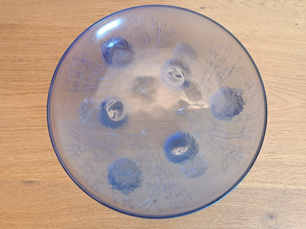 Sabino , Grande Coupe Aux Oursins , Verre Bleu , Art Déco , XX°.