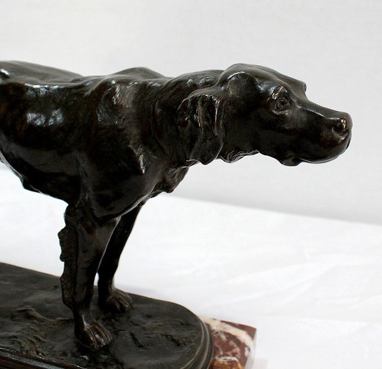 Bronze "Hunting dog at the stop" by E. de Gaspary - Late 19th century