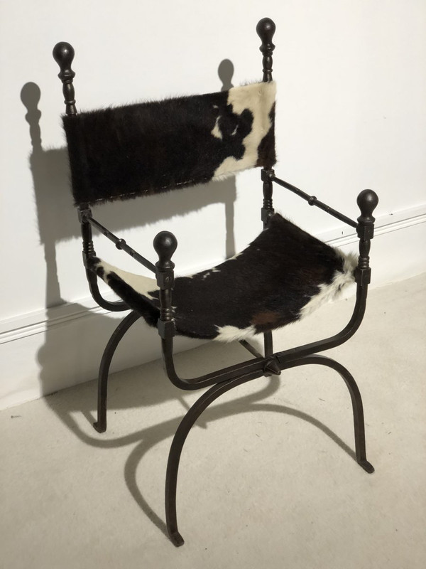 19th Century Curule Armchair In Wrought Iron