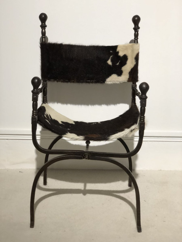 19th Century Curule Armchair In Wrought Iron