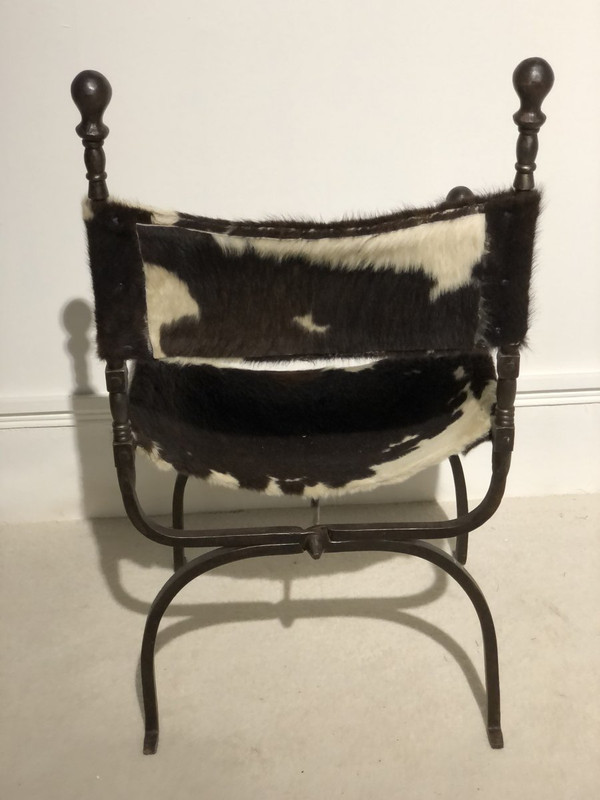 19th Century Curule Armchair In Wrought Iron