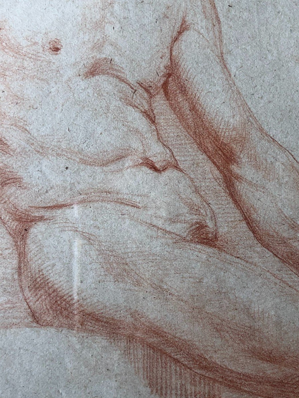 Neapolitan School - Academic Drawing of a Nude Man in Sanguine - XIXth Century