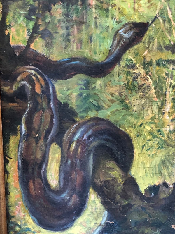 Dipinto Olio Su Tela “giungla” Firmato Fauconnier Datato 1946