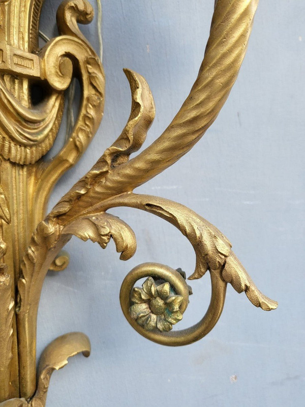 Pair of Louis XVI Gilt Bronze Sconces, 19th Century