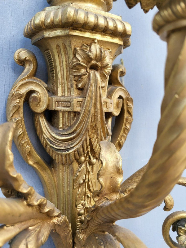 Pair of Louis XVI Gilt Bronze Sconces, 19th Century