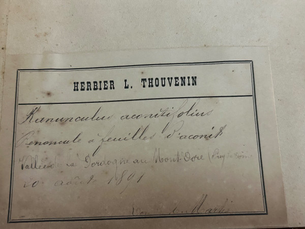 Rara serie di nove volumi dell'erbario L Thouvenin 1880-90 circa