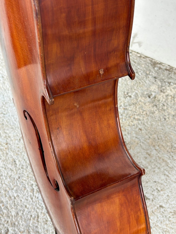 Violoncello Old Companion - Violino - H 113 Cm