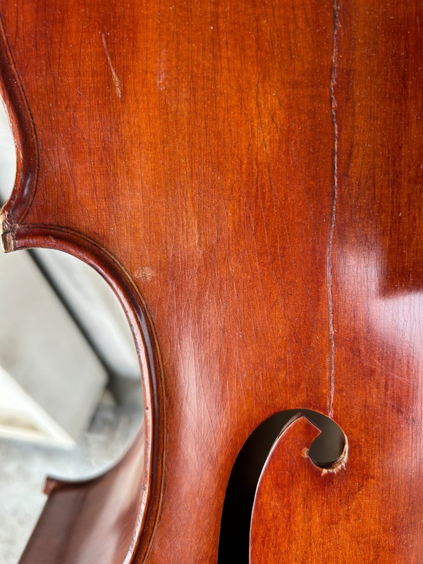 Violoncello Old Companion - Violino - H 113 Cm