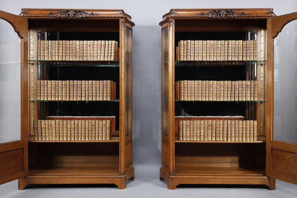 Pair of Regency-style display cabinet