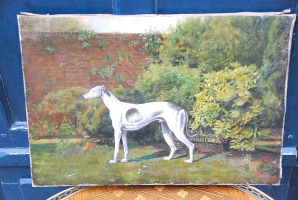 Lévrier Whippet , école Anglaise XIXe siècle