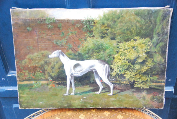 Lévrier Whippet , école Anglaise XIXe siècle