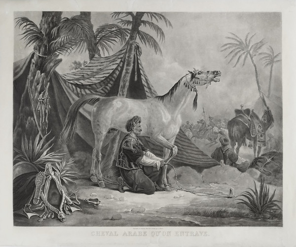 Arabian Horse Being Hindered Orientalist Engraving After Vernet Etching Old Print