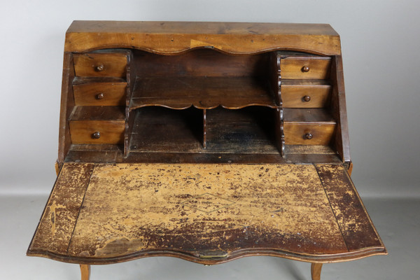 Donkey bone desk Louis XV period