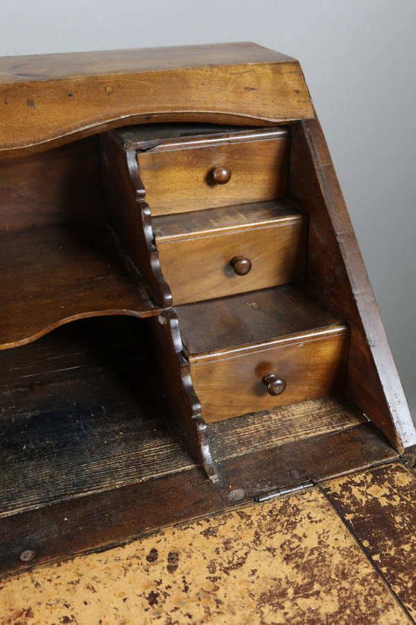 Donkey bone desk Louis XV period