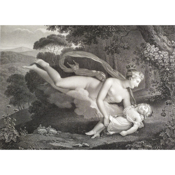 Neoklassische mythologische Radierung Venus Und Ascagne nach Charles-Pompée Le Boulanger de Boisfrémo