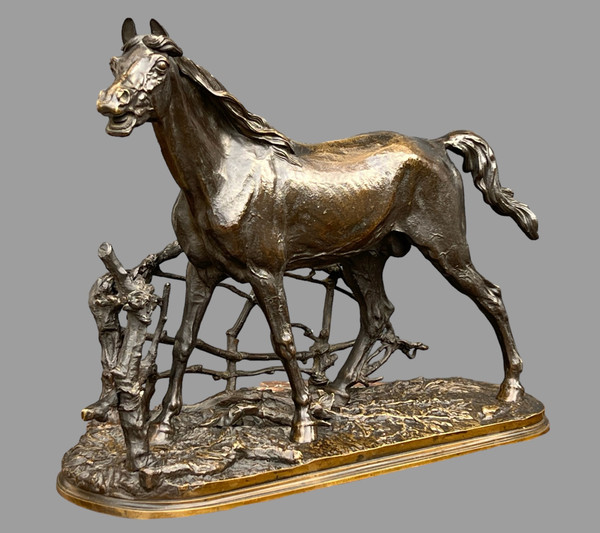 PIERRE JULES MÊNE BRONZE SCULPTURE "CHEVAL A LA BARRIERE DJINN ÉTALON BARBE