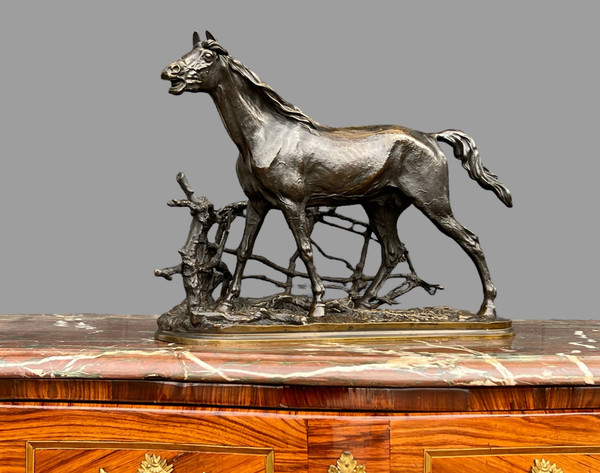 PIERRE JULES MÊNE BRONZE SCULPTURE "CHEVAL A LA BARRIERE DJINN ÉTALON BARBE