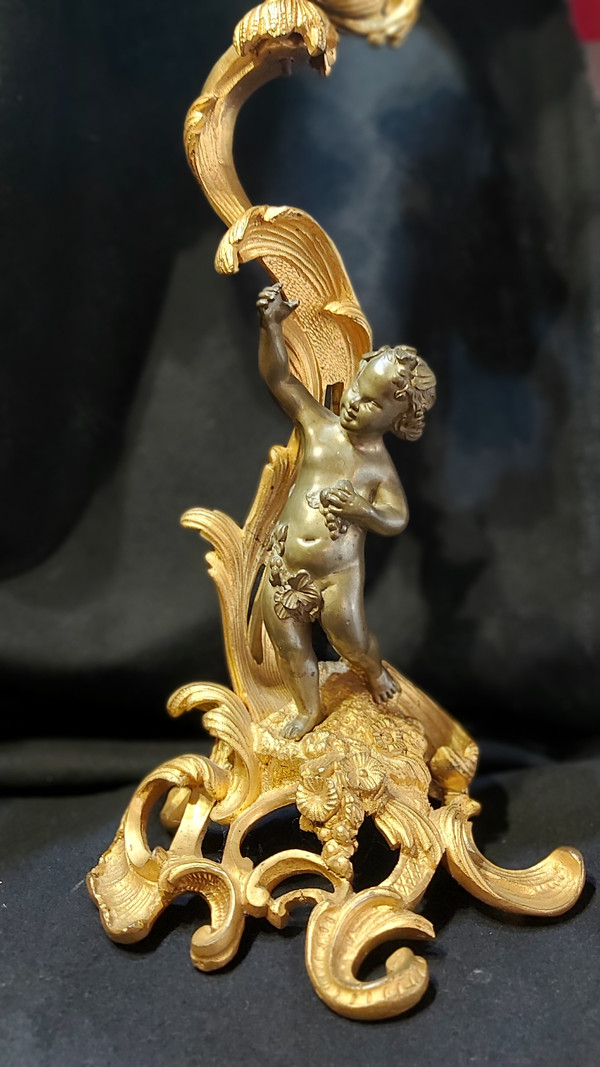 Pair of Louis XV style gilt bronze candlesticks