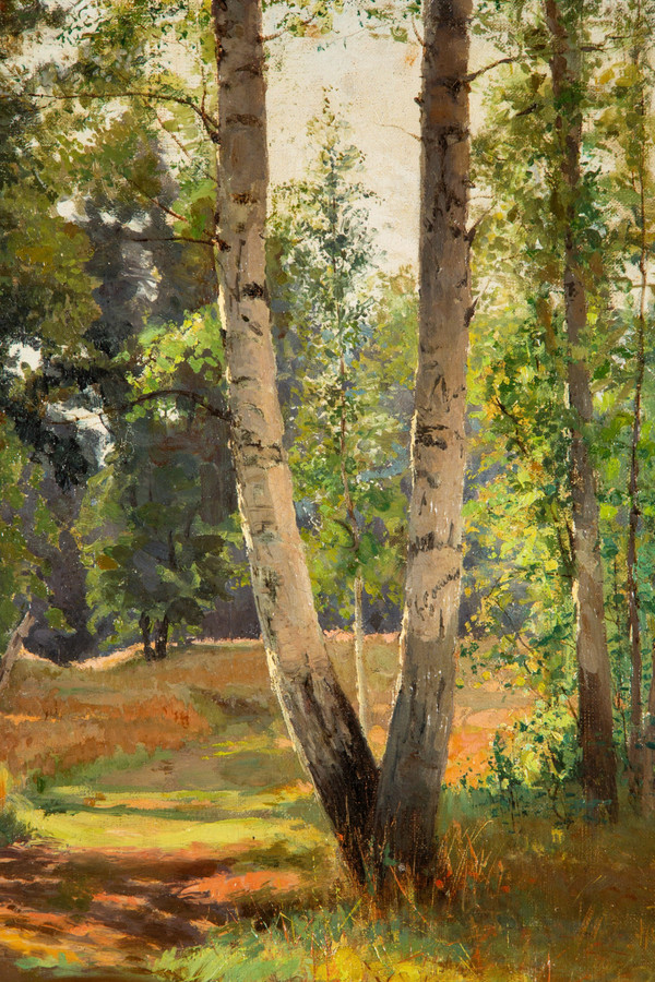 View of an Undergrowth, painting dated 1901, oil on canvas by Feodor Petrovich Riznischenko (1865-1922)