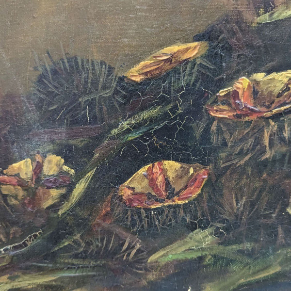 Oil On Canvas Still Life With Sea Urchins And Lemons Signed Bouchet 1903