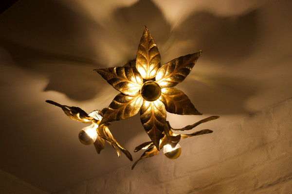 Willy Daro flower ceiling light.