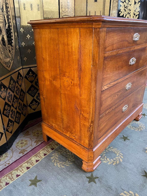 Louis Philippe period Elm chest of drawers