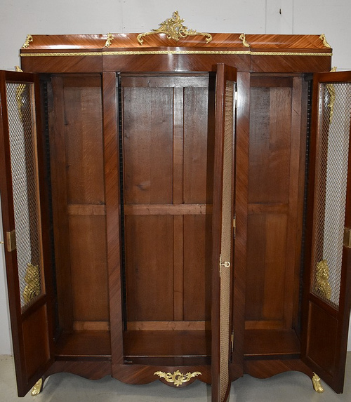 Bookcase in Blond Mahogany and Violet Wood, Louis XV taste - Late 19th century