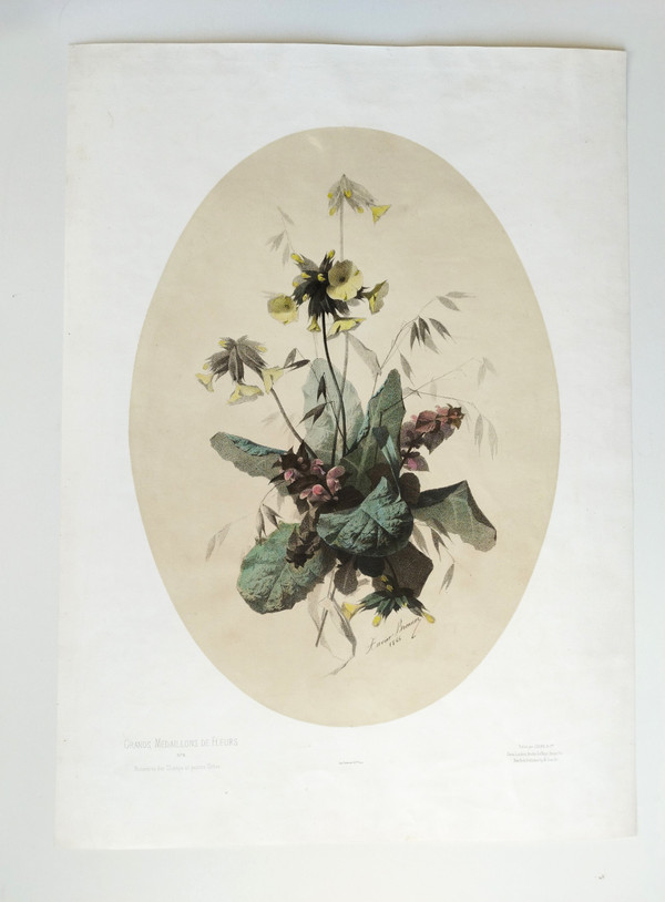 Stillleben-Feldblumen, aquarellierte botanische Lithographie von Xavier Bronner