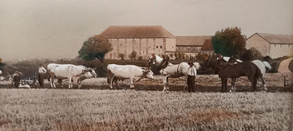 La fotografia d'arte torna dall'aratura/XX secolo