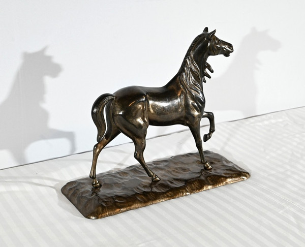 Horse in Regula - Early 20th century