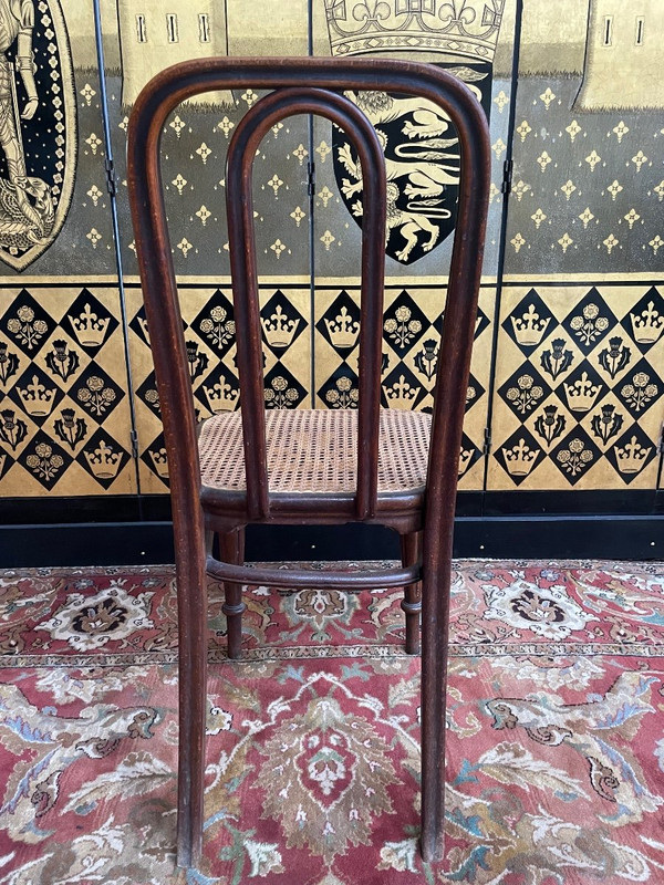 Suite mit 5 Thonet-Rohrgeflechtstühlen