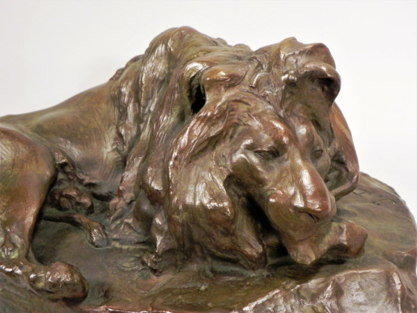 Josuë DUPON (1864-1935) Lion couché Bronze (vers 1908) 