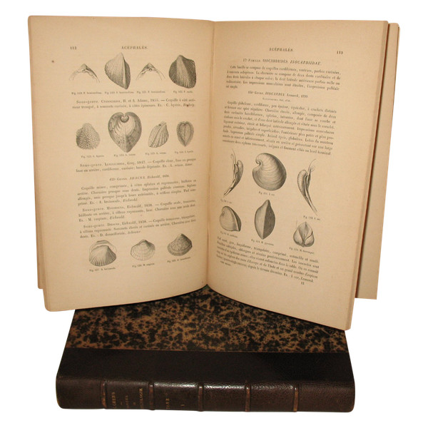 Conchology manual by J.C. Chenu in 2 complete volumes from 1859 with shell plates