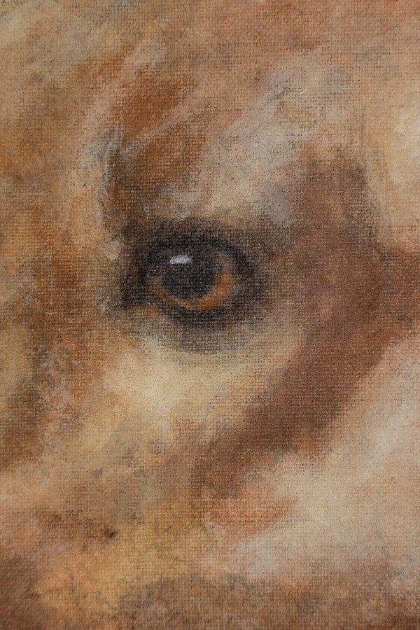 Painted canvas representing a dog. Contemporary work